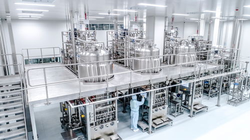 2023中國經濟年報 計算機軟硬件技術開發的創新突破與產業升級